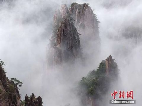 雨中云雾缭绕的黄山图片