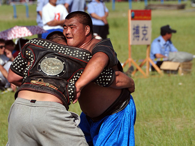 杨过戏耍达尔巴,蒙古摔跤真的只靠蛮力?带你了解真正的蒙古摔跤