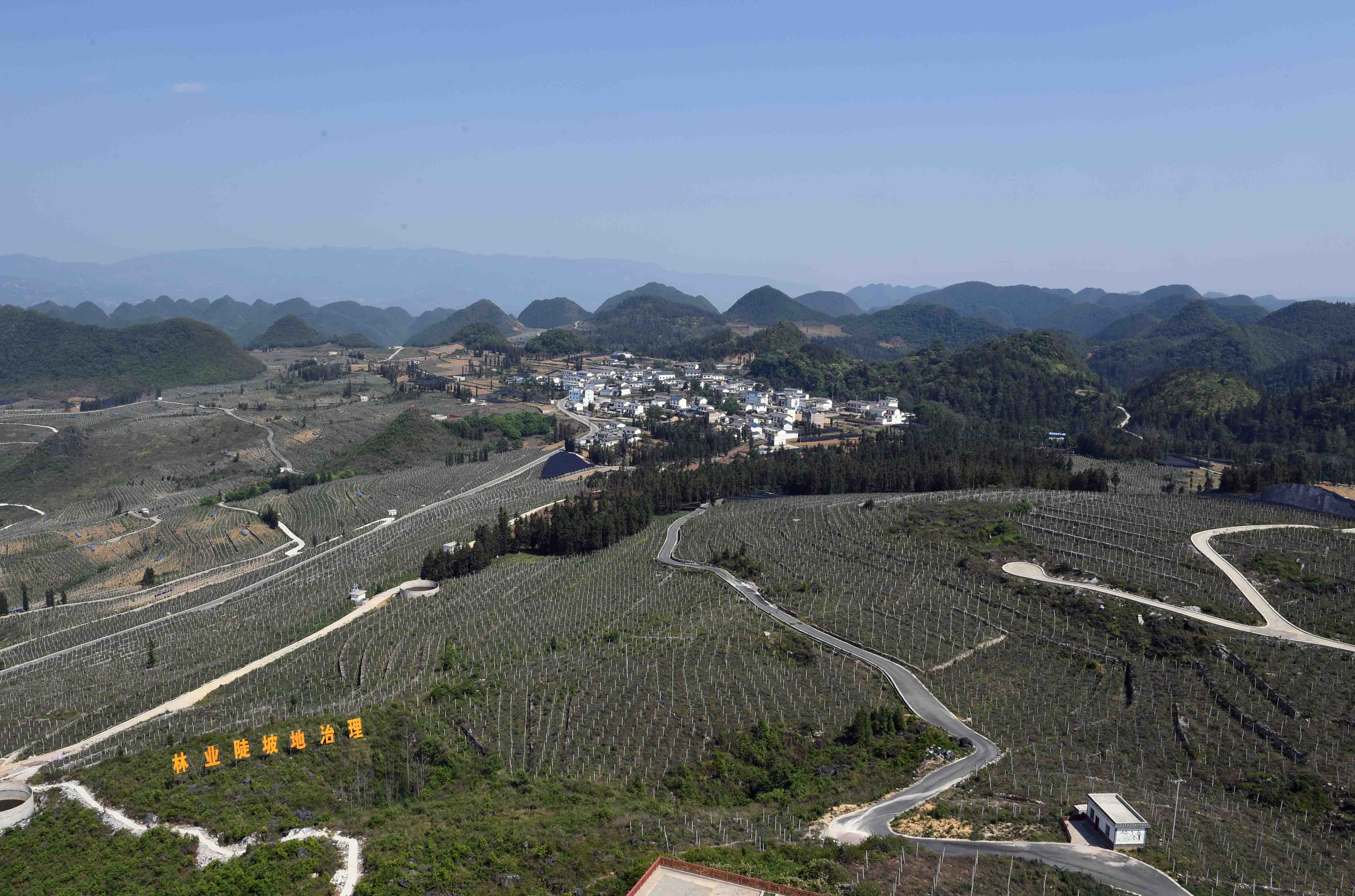 云南西畴:石漠化山地披绿装(2)