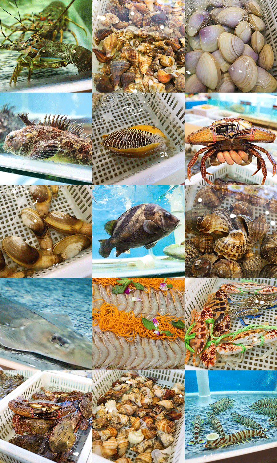 美味不过海鲜!莆田荔宝海鲜楼的野生海鲜,很多人慕名而来