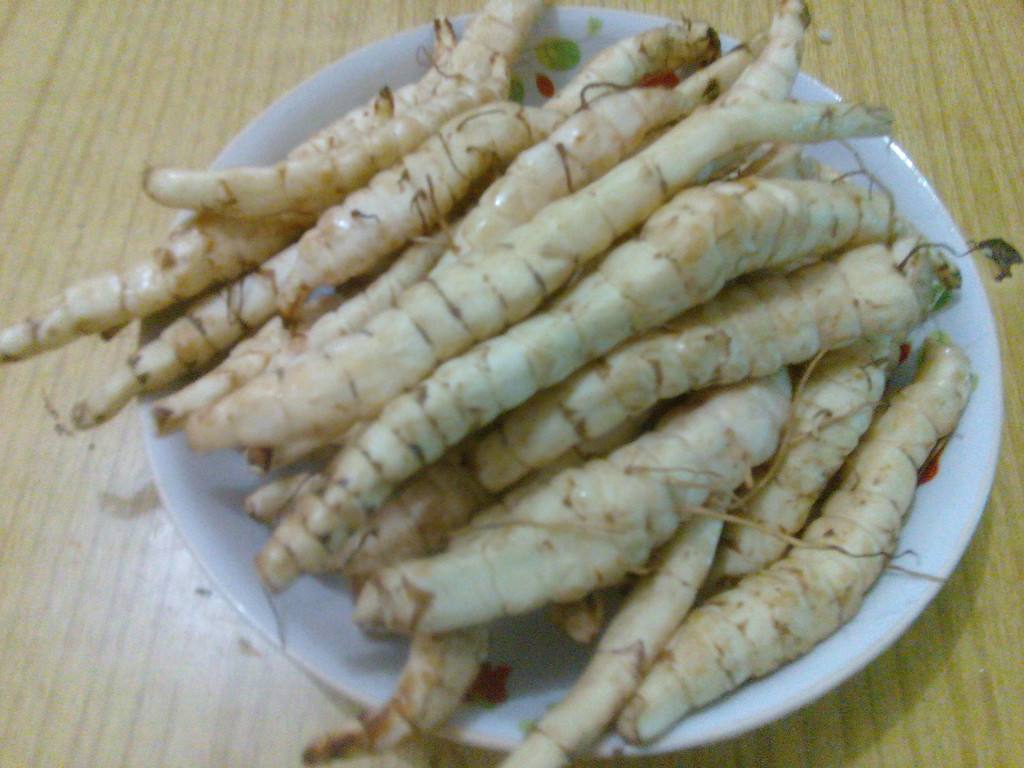 地参是无性繁殖,种植地参用地参根茎无性繁殖,繁殖