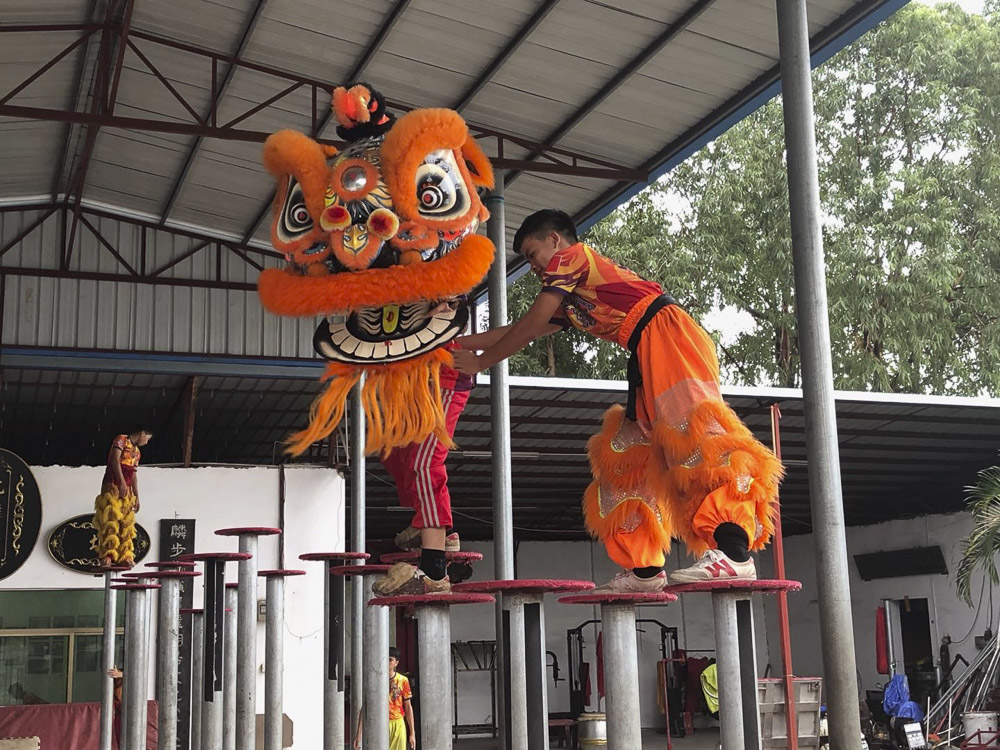 獅子躍上梅花樁|正午·行走中國