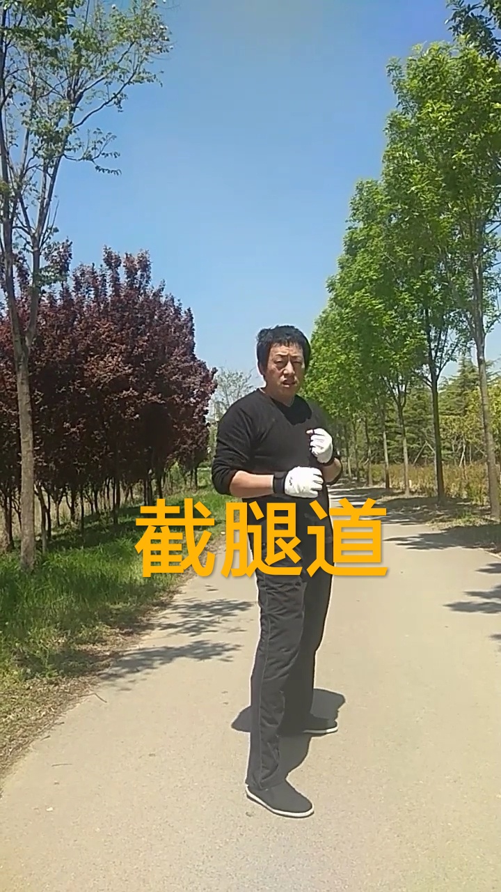 截腿道主力腿法-垫步侧踢腿法