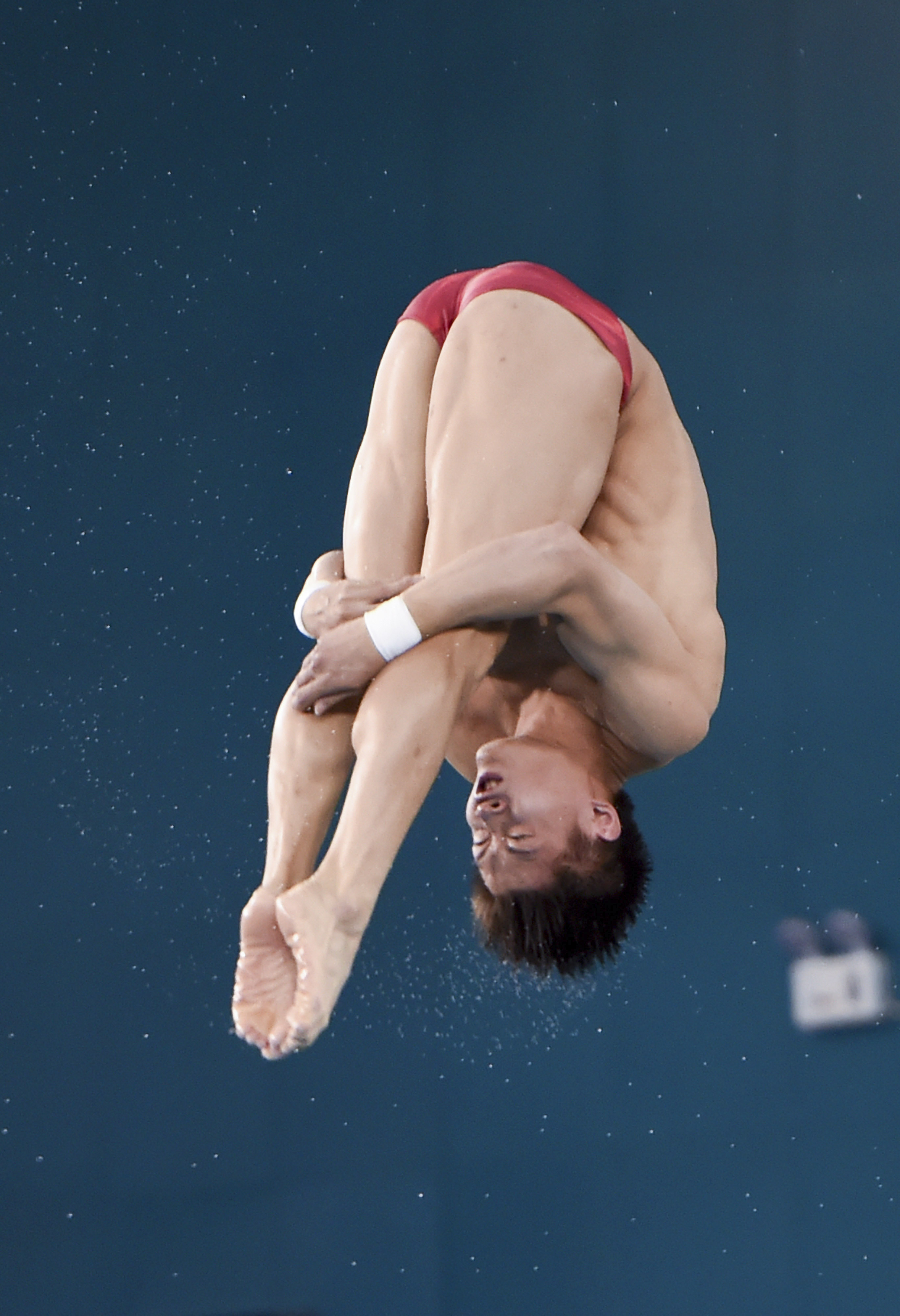 跳水—全国锦标赛:杨健男子10米跳台夺冠