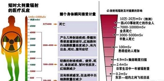 钴弹设计图纸图片