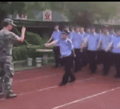 240_218gif 动态图 动图