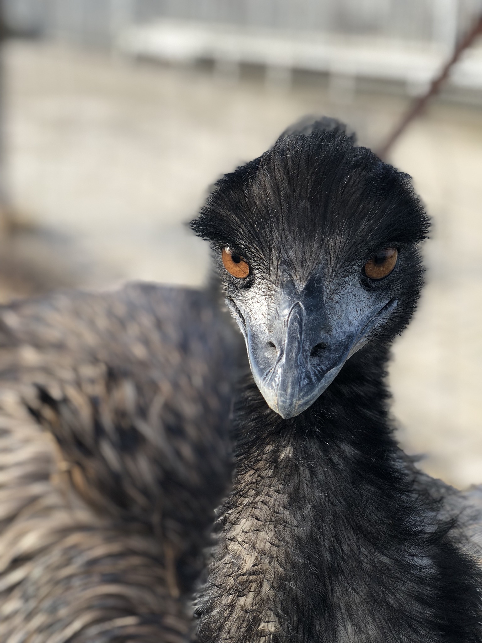 说茶席插花意趣 | 想读懂茶席插花,你可能需要读懂文人四般闲事