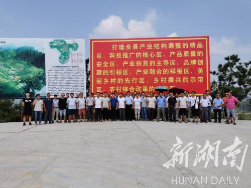 乡镇|江华大路铺镇:现场参观取真经 助力乡村振兴