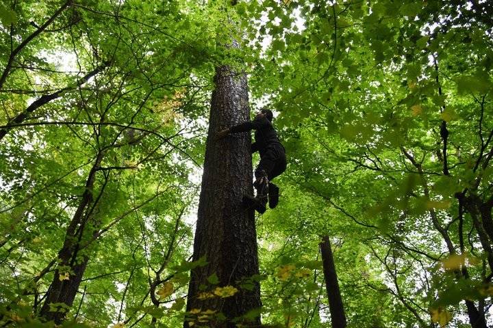 被松子改变命运!年轻人逃离的东北,这个县级市却人口净流入