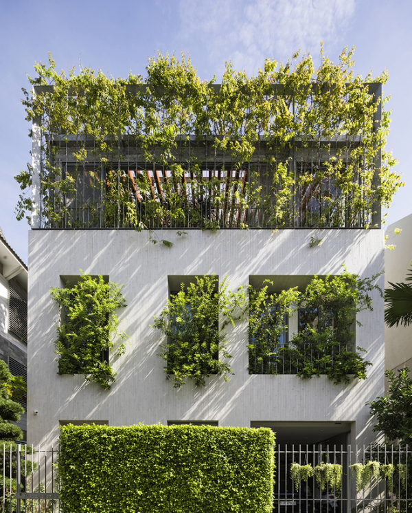 建筑外墙也用植物作为装饰,绿色的植物搭配白色的建筑,在色彩上非常的