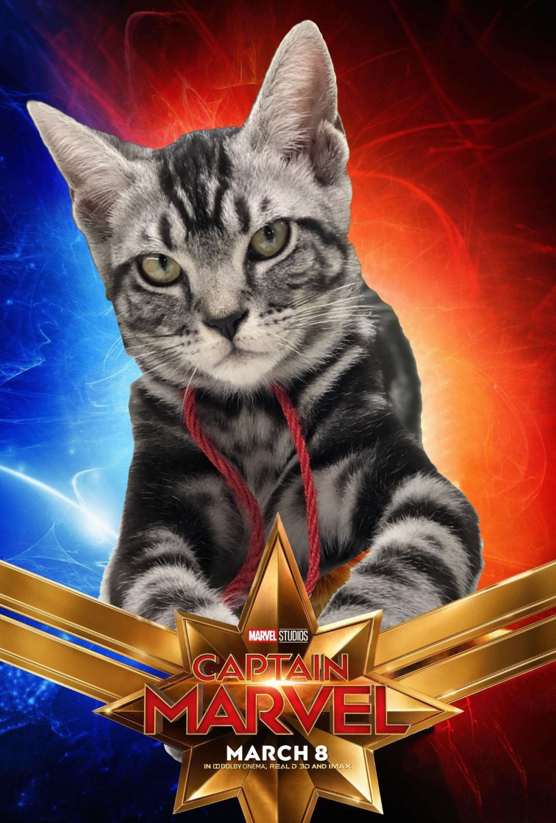 别叫大橘,叫我噬元兽!