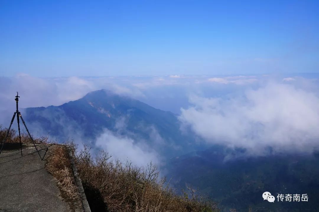 芙蓉峰上眺仙云