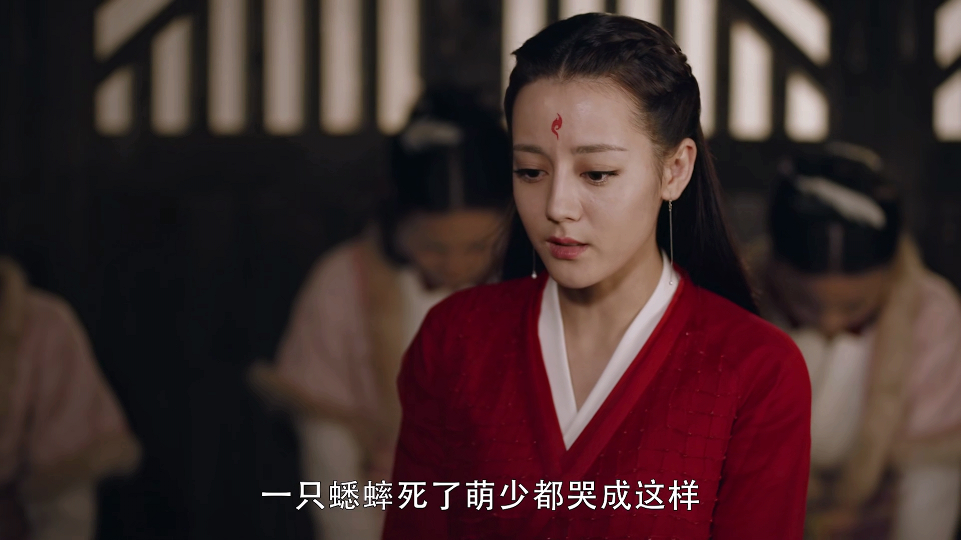 《三生三世枕上书》萌少为了一只蟋蟀的去世大醉三天三夜 《三生三世枕上书》萌少为了一只蟋蟀的去世大醉三天三夜