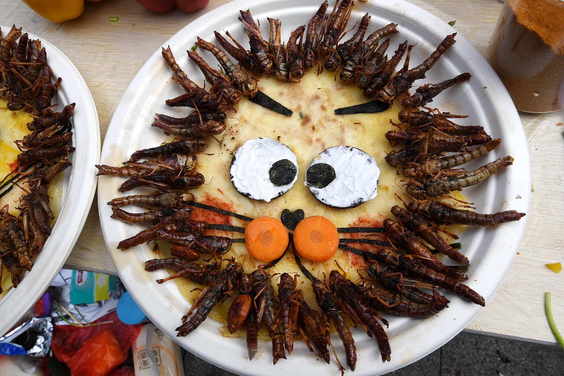 震撼我的昆虫宴 蝎子蜈蚣这些东西想想就浑身不舒服,但它们确是很有