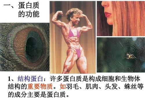 健闻|高中生物书上的肌肉女,为何成为健身女孩被支配的恐惧?