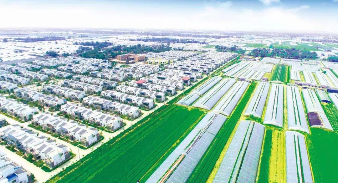 高陵区杨官寨村村民变股东分红领到手 个个笑得合不拢嘴