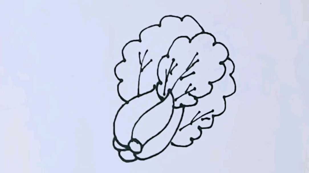 趣味简笔画之大白菜,画得怎么样呢