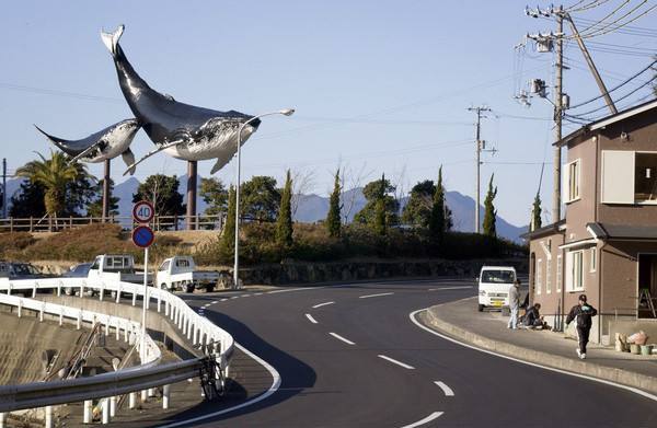 风景优美的日本太地町,真实的海豚地狱