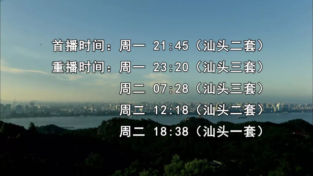 「汕头警视」夜行者