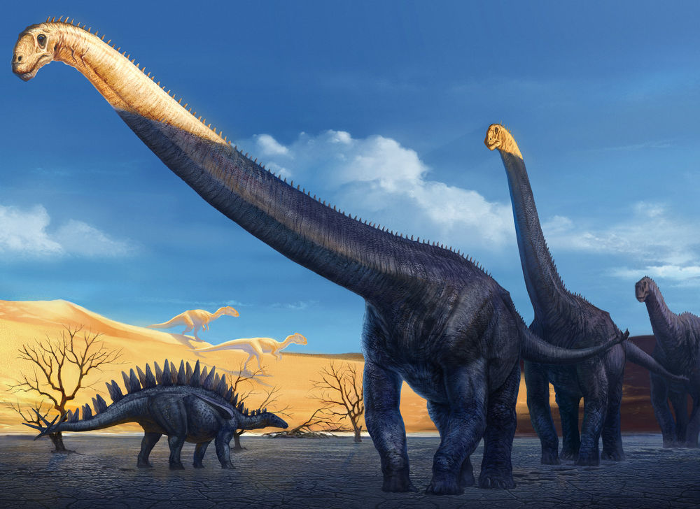 恐龙界的长脖子明星,一个脖子占了身体一半的长度!