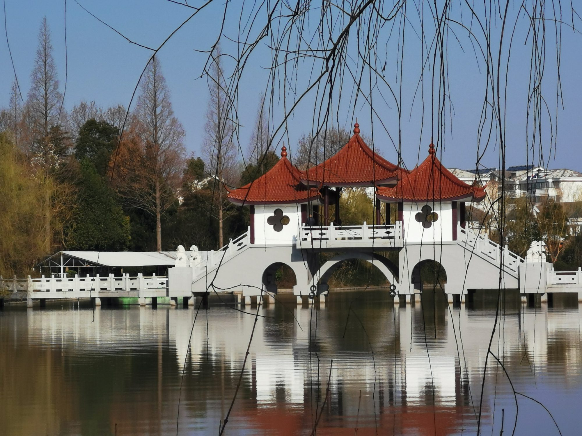 江苏东台:人民公园,春光灿烂