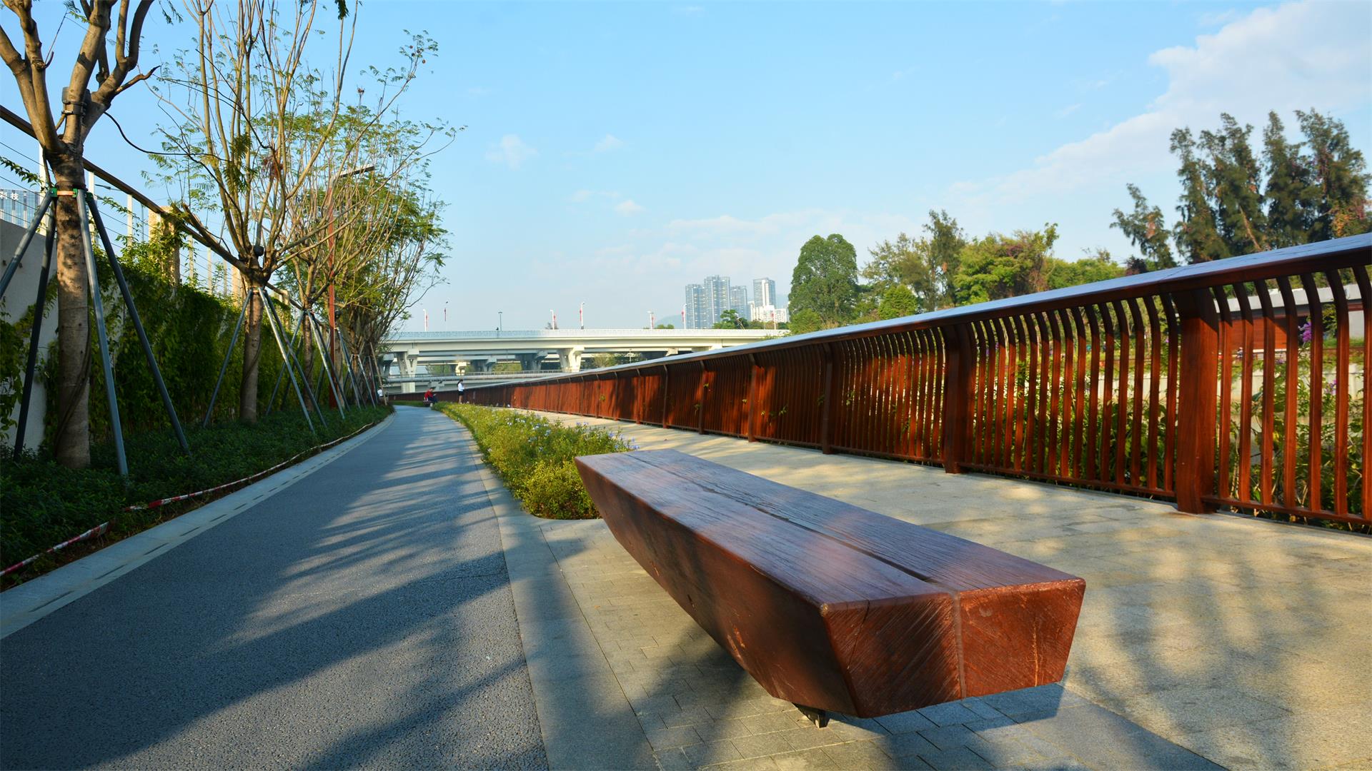 大沙河生态走廊随拍