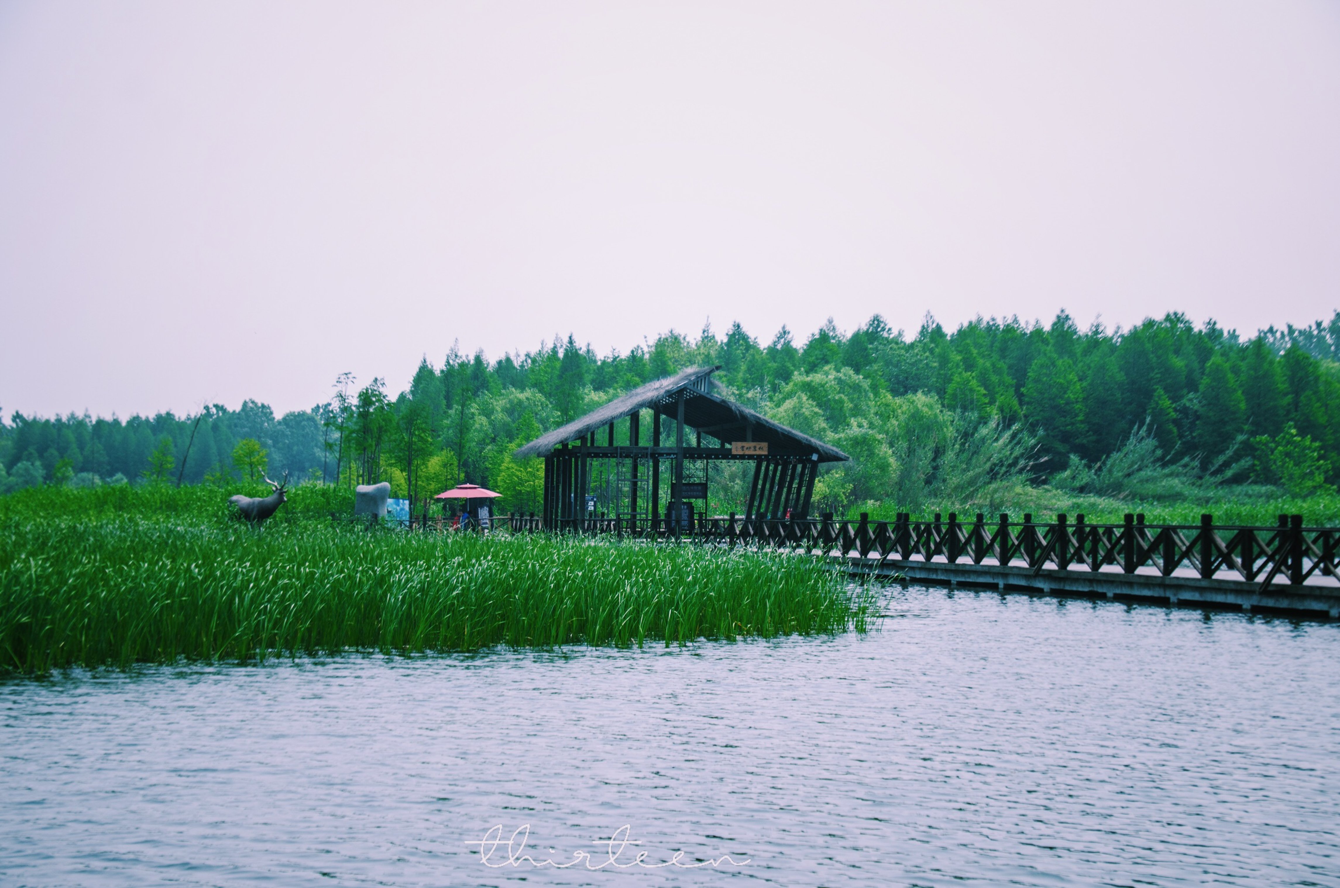 吉湖国家湿地公园图片