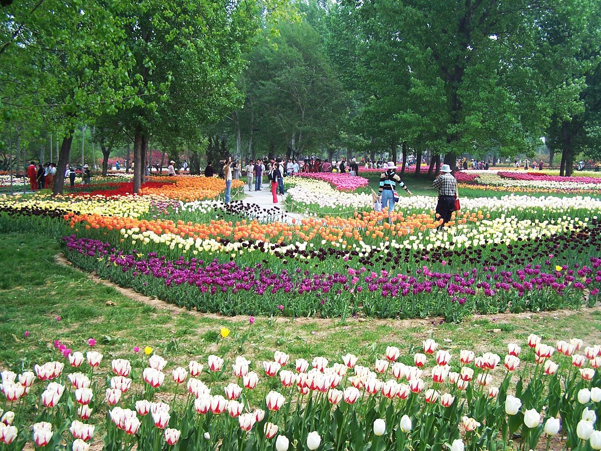 石家庄植物园,四季花开美景,探索植物世界