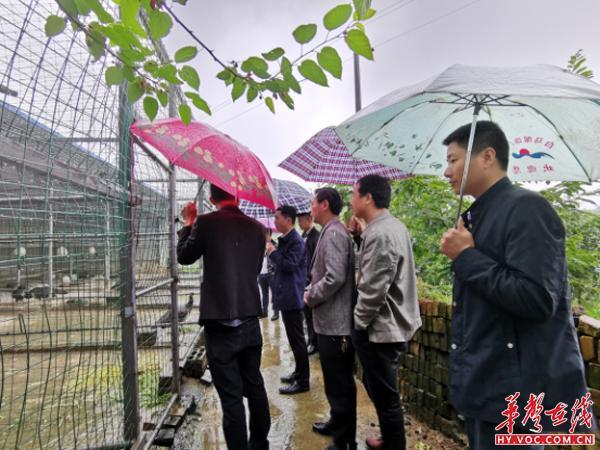 衡东县委副书记贺殷深入霞流镇督导脱贫攻坚工作