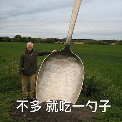 吃货网友的"沙雕高能配图",能去你家吃饭吗?不多就一勺!