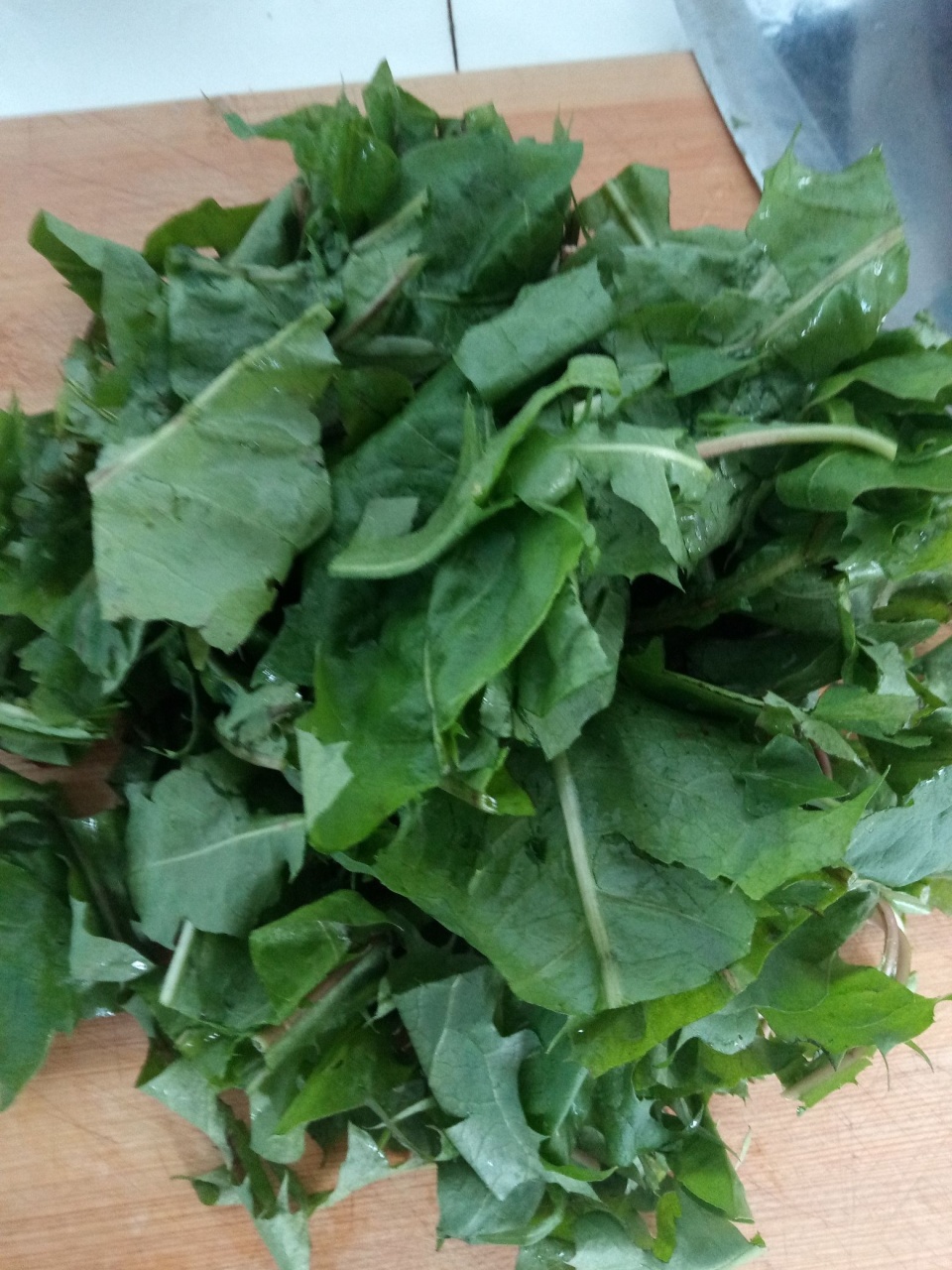 这个季节吃点凉拌婆婆丁,养生又消火