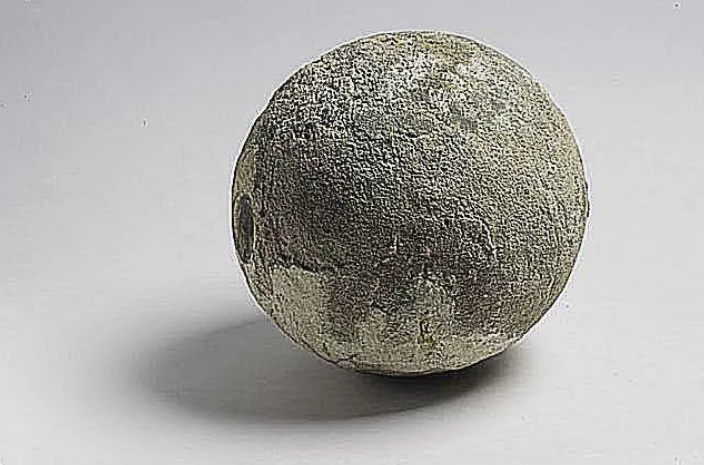 而在美国西部的其他地方研究人员已经发现了troodon和hypacrosaurus蛋