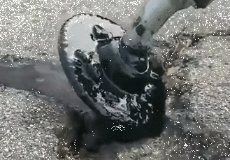 搞笑gif图笑话由漫画八妹编辑1