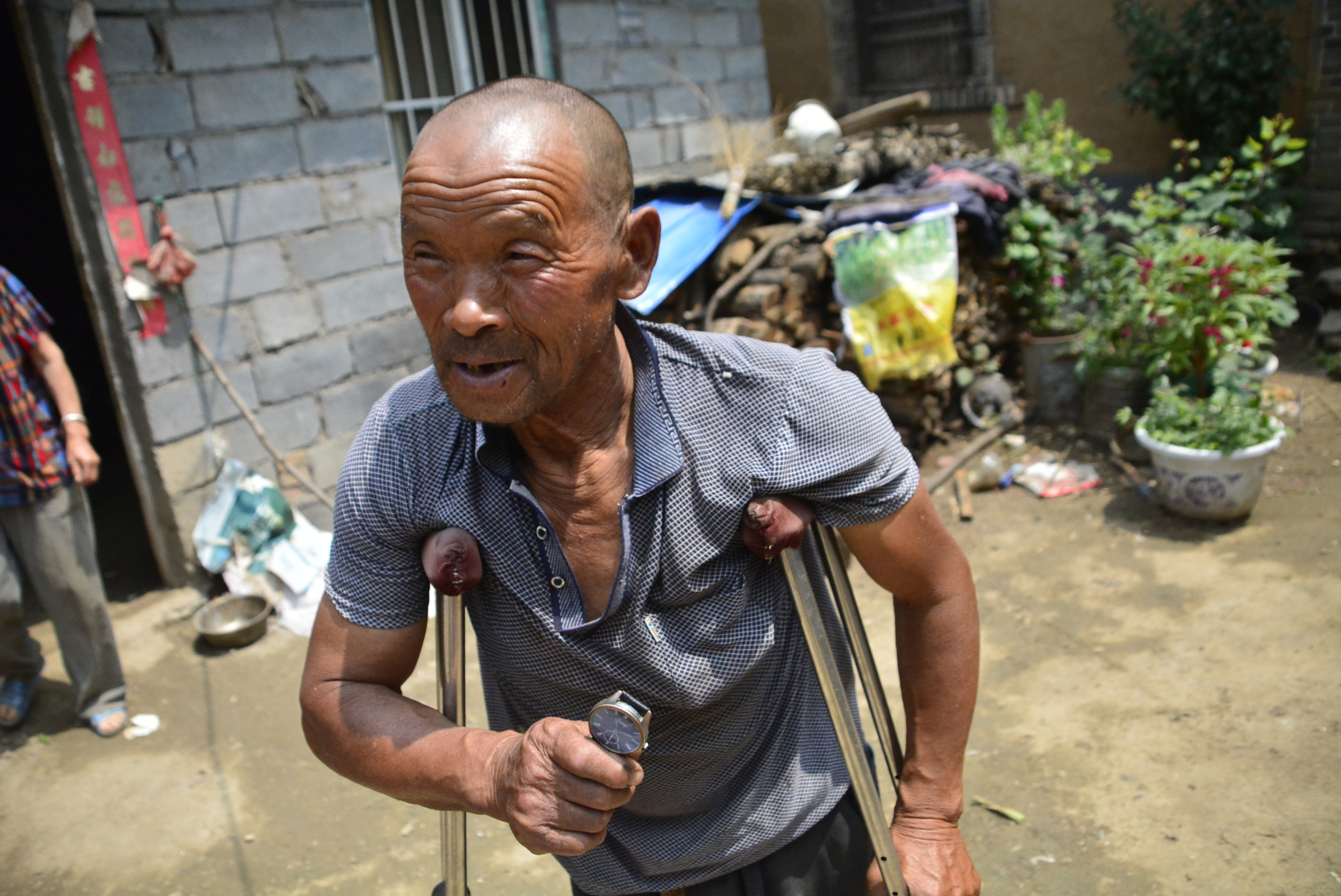 儿子外出打工多年不回家,山里农民想着法子挣钱,跪地上采草药