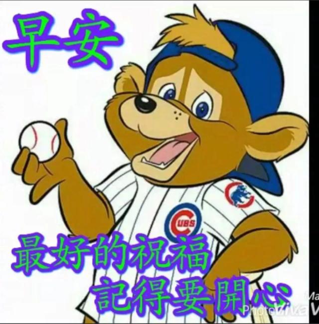 朋友圈清晨问候大家早上好祝福表情,最美冬天早安鲜花图片带字