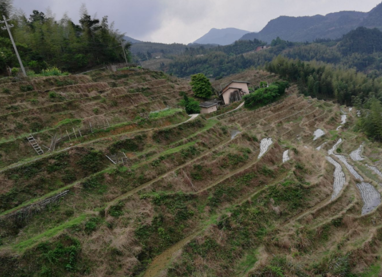 旅游:江西吉安遂川桃源梯田,看万亩梯田赏客家文化