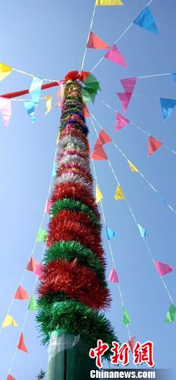 花杆立起来. 苏忠国 摄