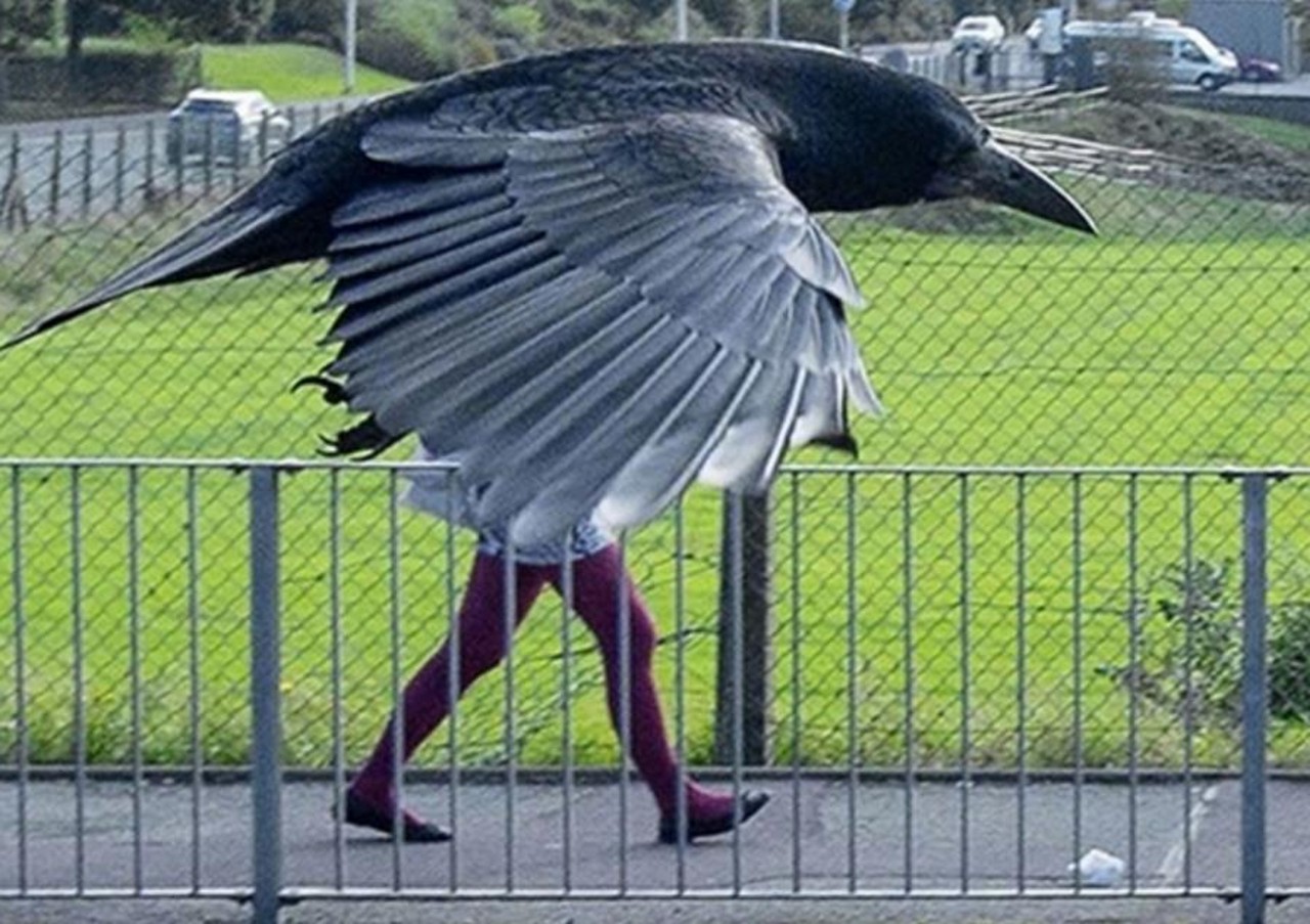 摄影师镜头下"罕见"奇葩照片:图3让人笑喷,最后一张有意思!