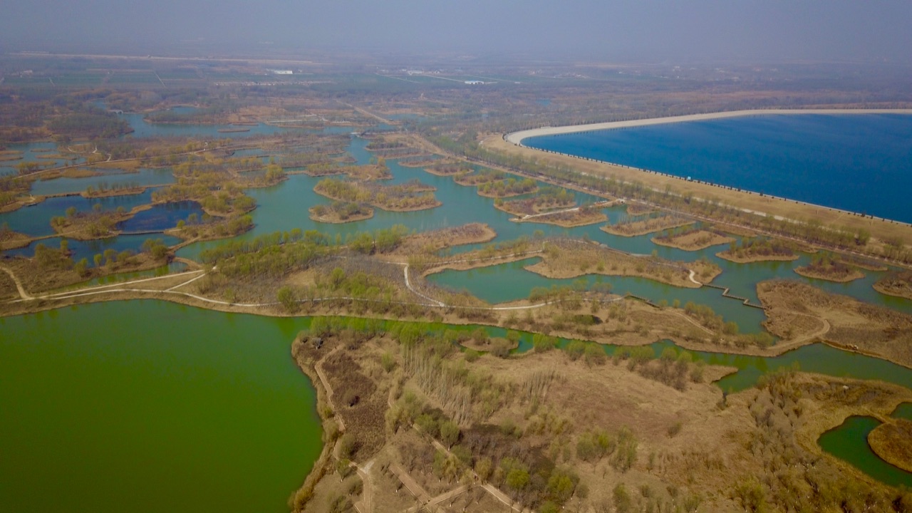航拍济西国家湿地公园!春意盎然景迷人