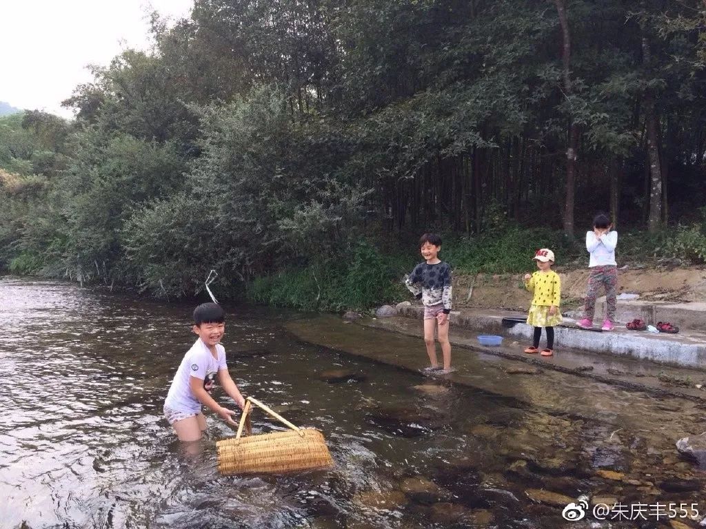 保姆纵火案莫焕晶上诉,孩子舅舅发微博网友回复让人看了心如刀割