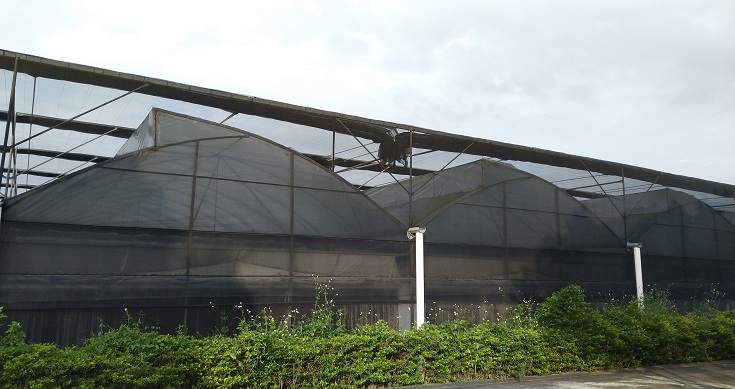 锯齿大棚遮阳覆盖