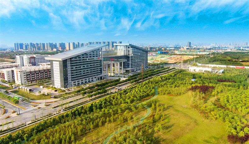 中俄丝路创新园:跑出优化营商环境"加速度"