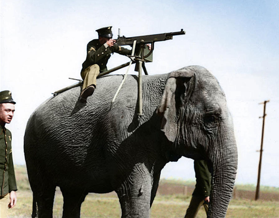 看起来奇怪至极的10张战争老照片,都是真实的