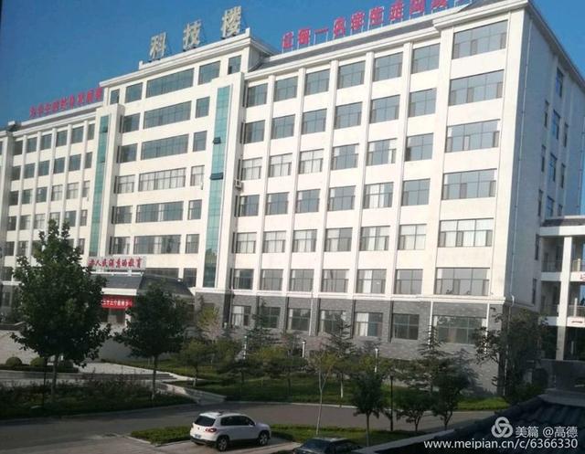 绽放,在金秋十月——潍坊青州实验中学阳光运动建设成果