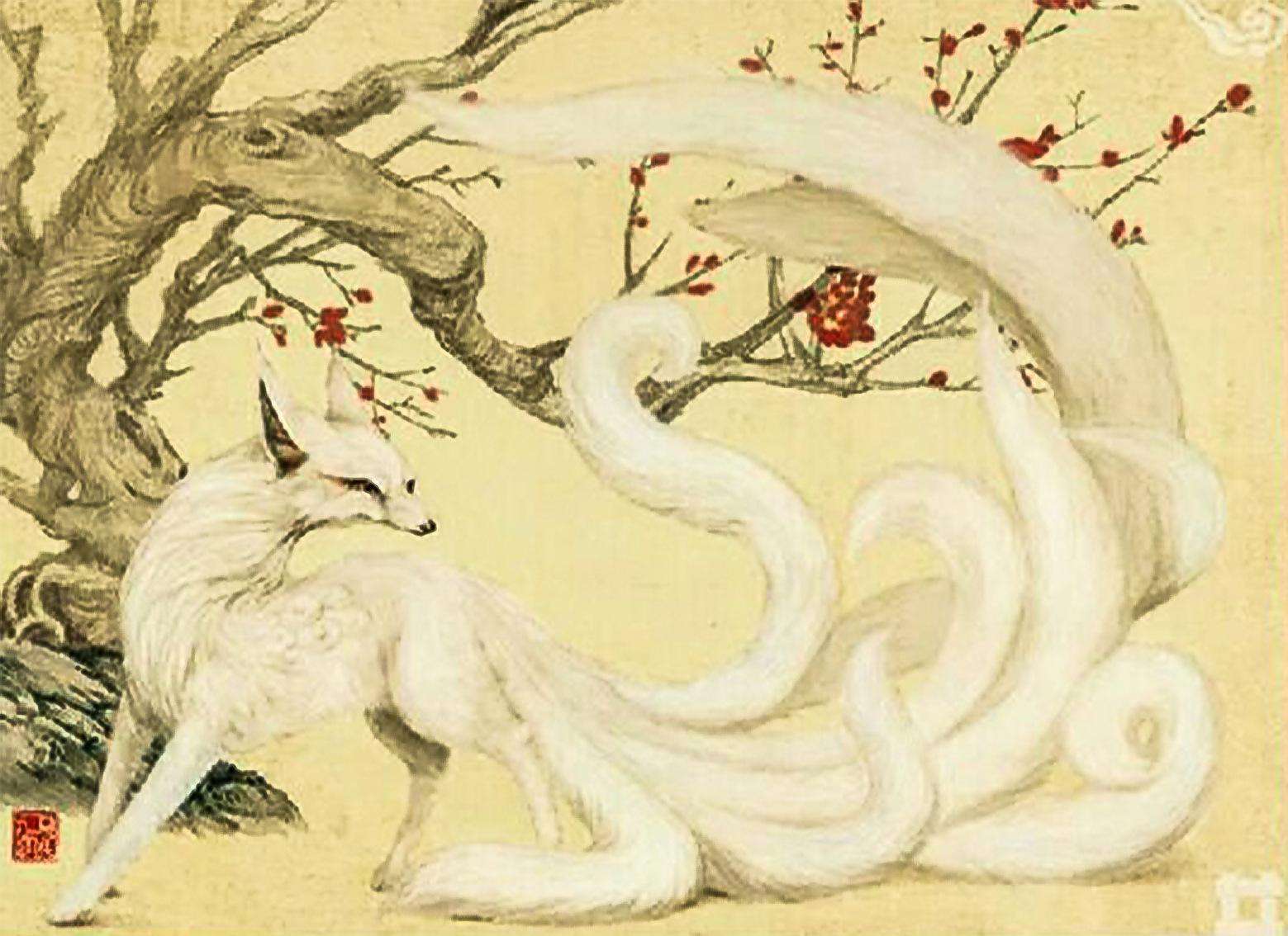 为什么狐狸精都是肤白貌美的女子?公狐狸无法修炼成妖吗?