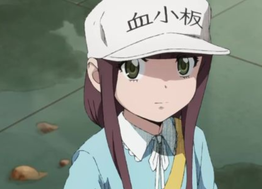 《工作细胞black》tv动画2021年登场,白血球大姐姐也来了