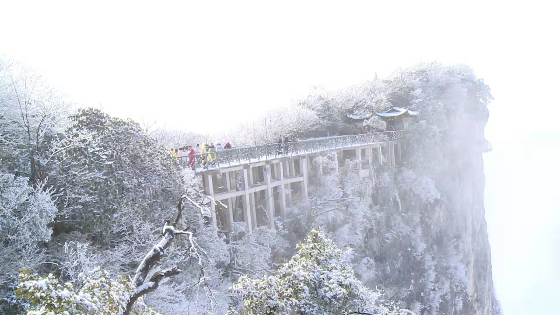 張家界天門山迎今冬首雪 瑞雪,霧凇,雲海三景交融