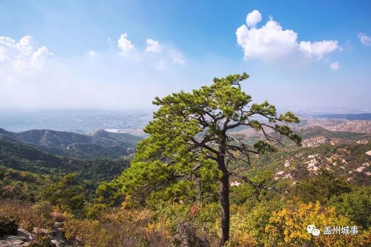 盖州青龙山风景区图片