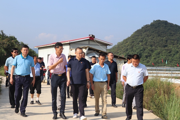 安顺市委常委,区委书记郭伟谊率队到杨武乡调研"村社合一"合作社,脱贫