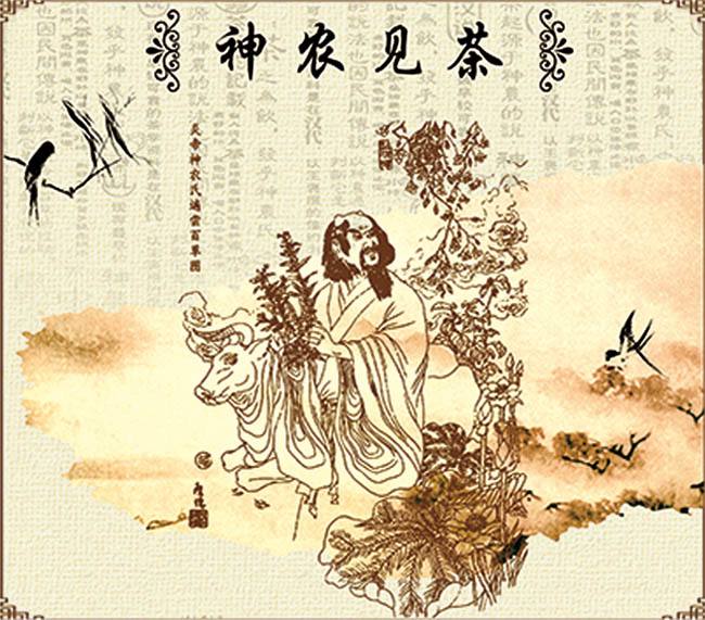 茶与生活 | 神农遇茶得之妙,方寸中细品茶文化